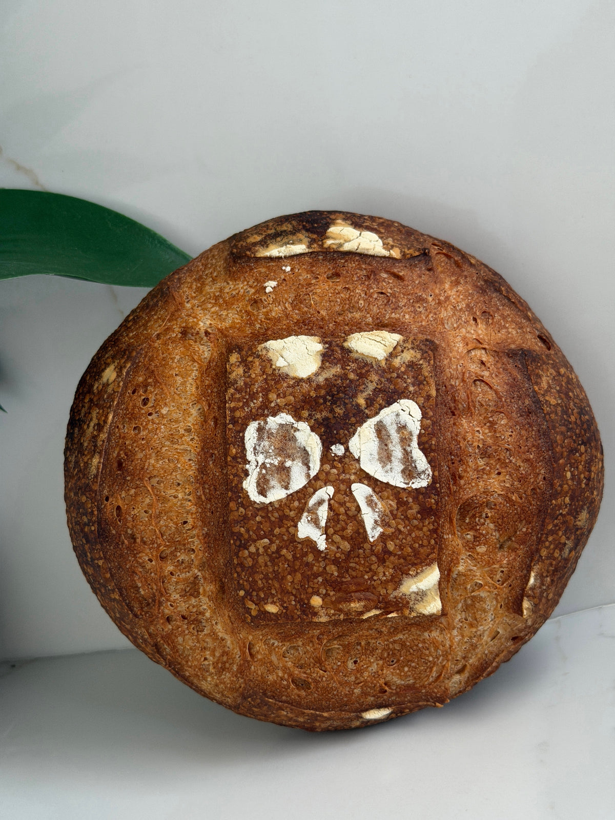 Round 50 percent rye sourdough loaf and sliced crumb