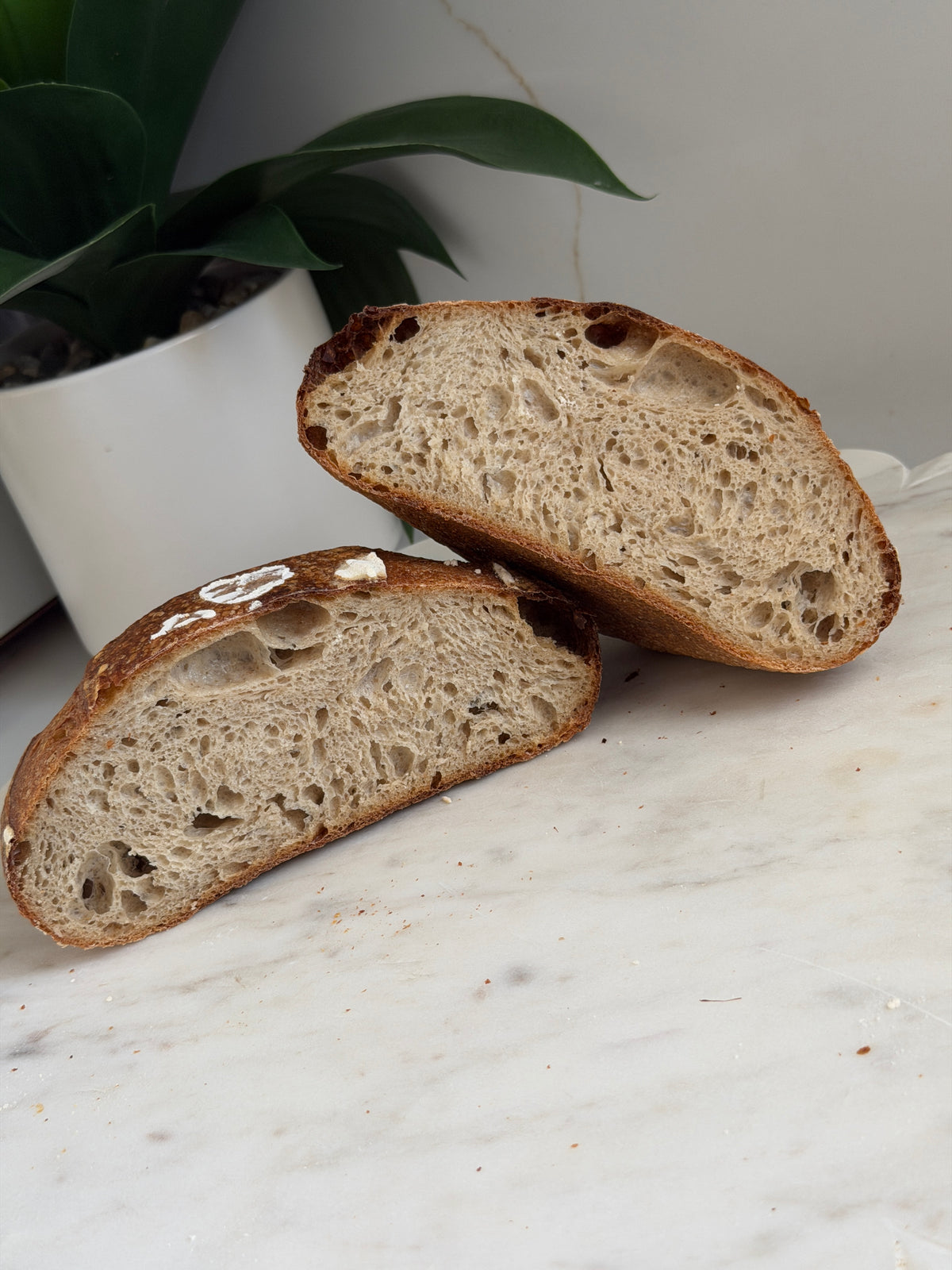 Round 50 percent rye sourdough loaf and sliced crumb