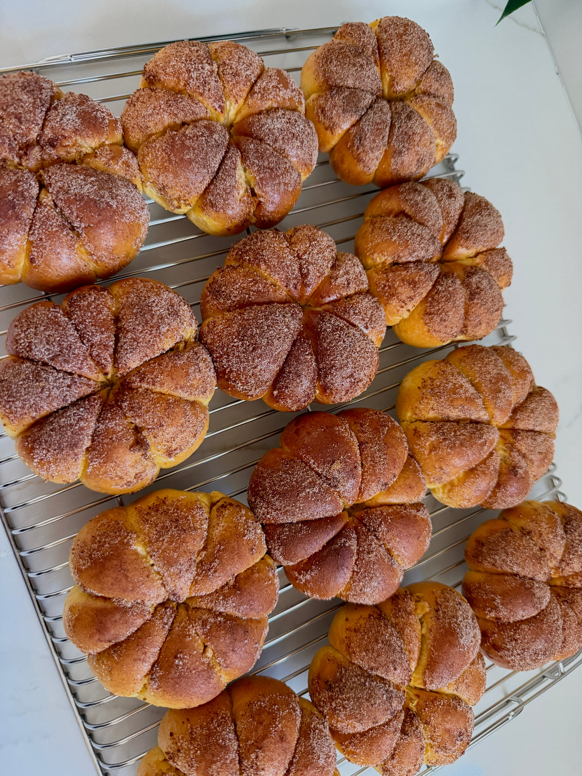 Pumpkin-shaped pumpkin brioche rolls
