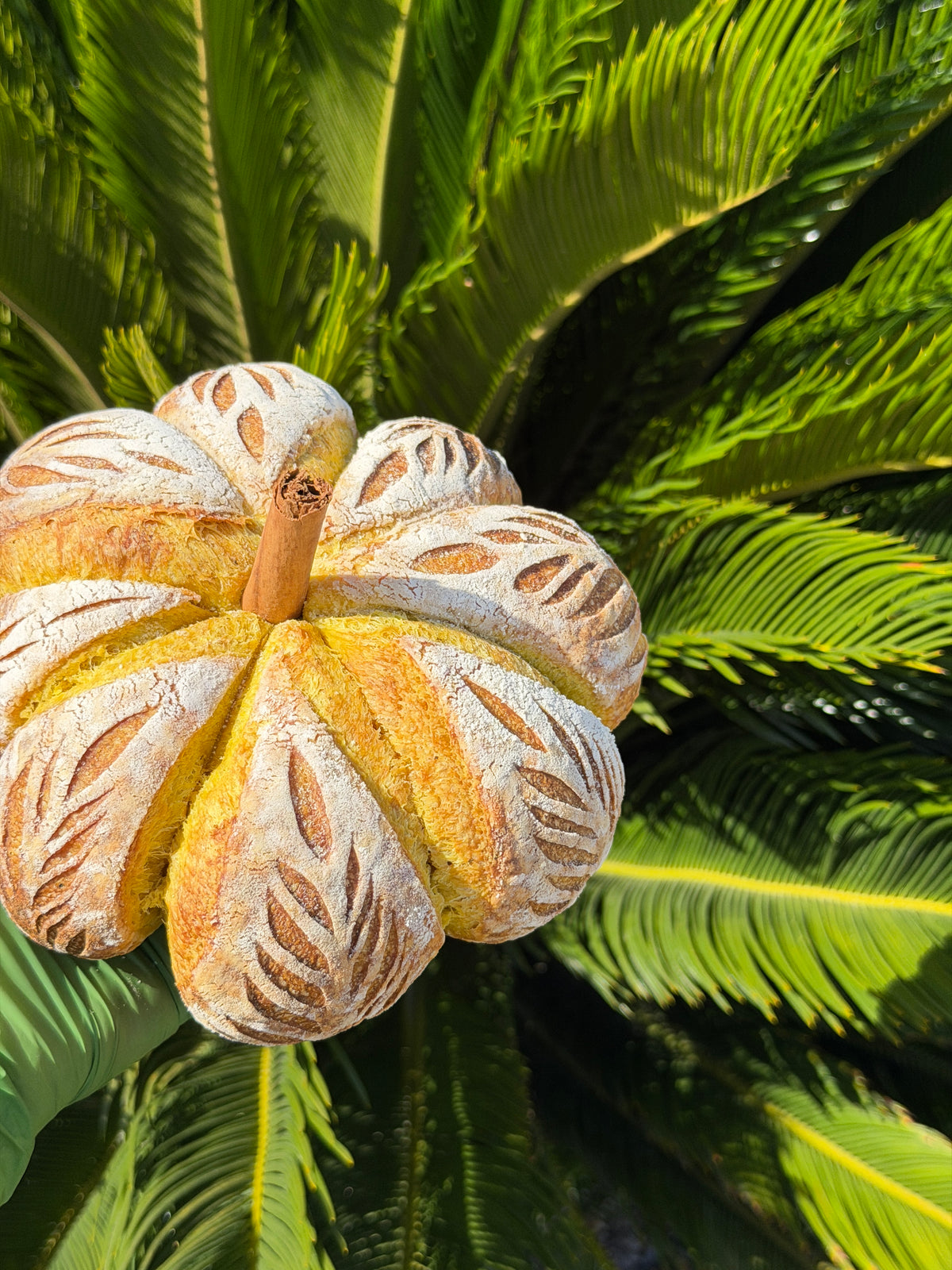 Pumpkin-shaped turmeric sourdough loaf held in front of green palm leaves